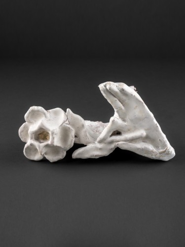 Erzsébet rózsával